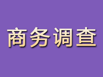 佛冈商务调查